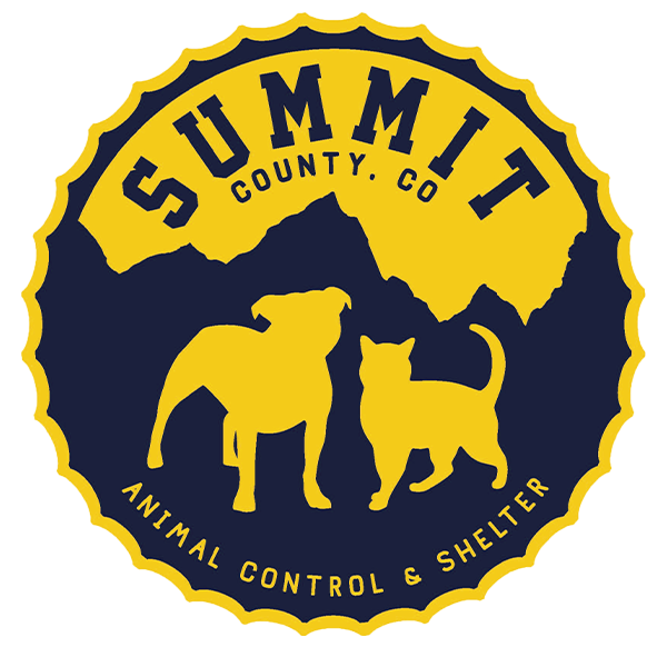 Summit County